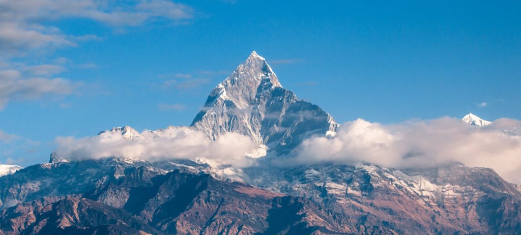 home bg 1024x462.jpg